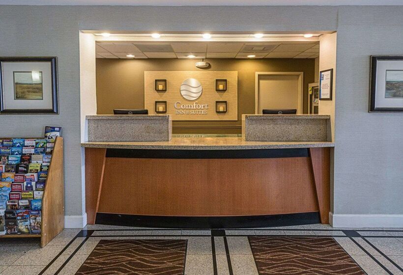 酒店 Comfort Inn Southwest Fwy At Westpark