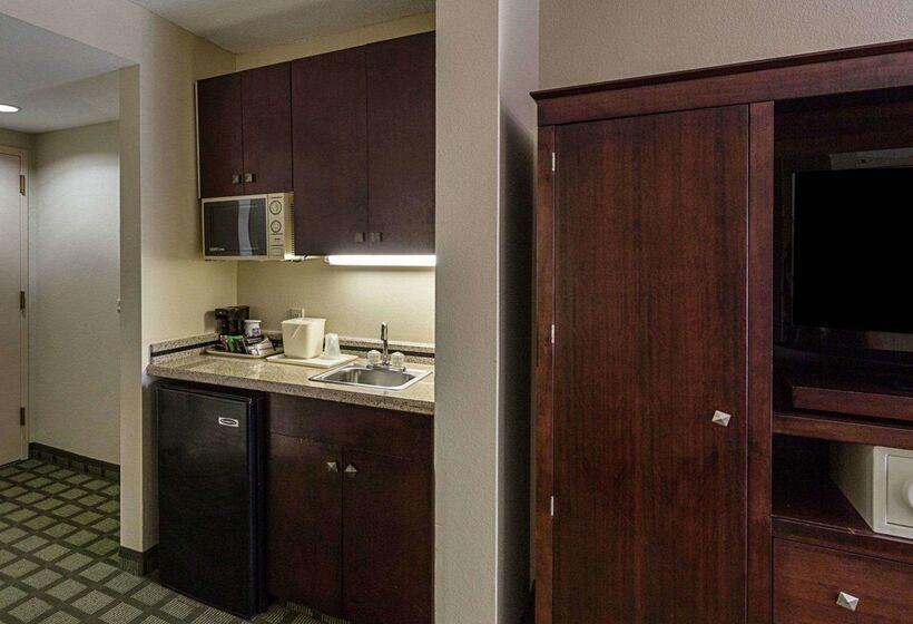 酒店 Comfort Inn Southwest Fwy At Westpark