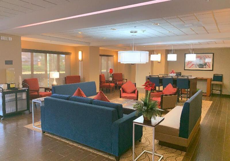 酒店 Comfort Inn Southwest Fwy At Westpark