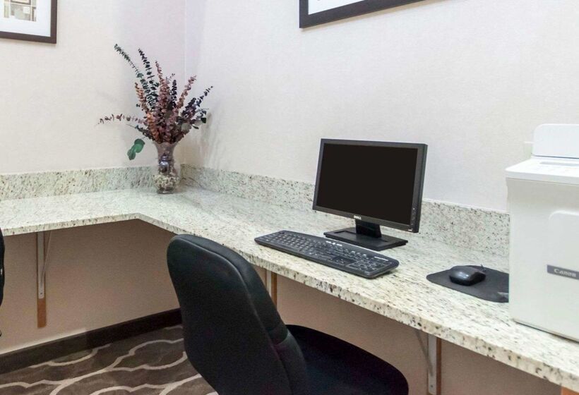 فندق Comfort Suites Airport