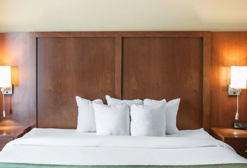 فندق Comfort Suites Airport