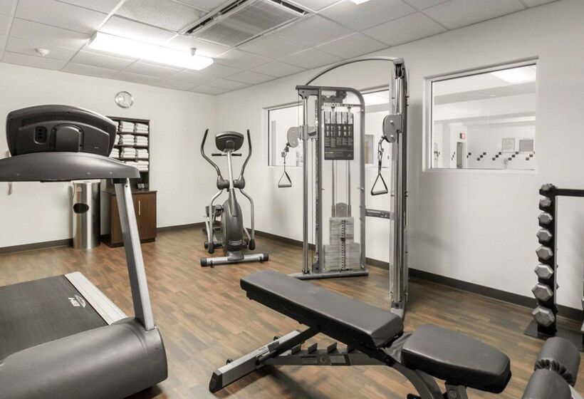 فندق Comfort Suites Airport