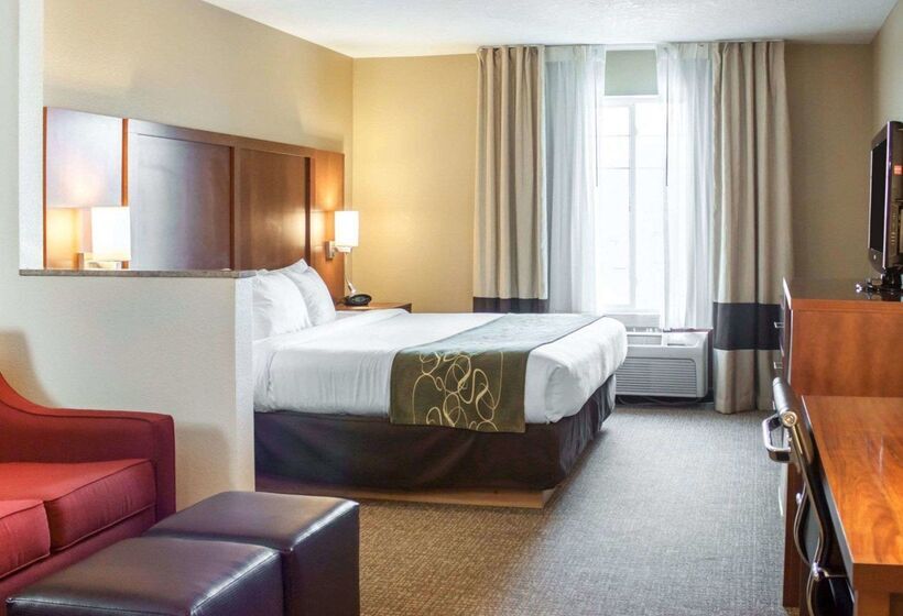 فندق Comfort Suites Airport