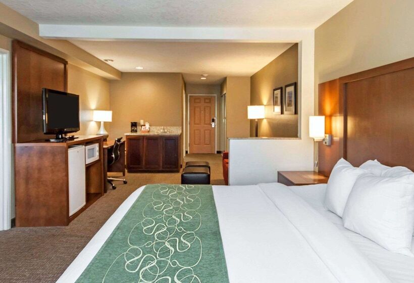 فندق Comfort Suites Airport