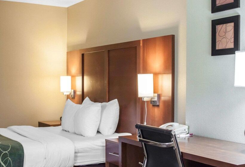 فندق Comfort Suites Airport