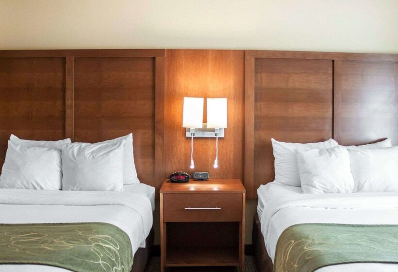 فندق Comfort Suites Airport