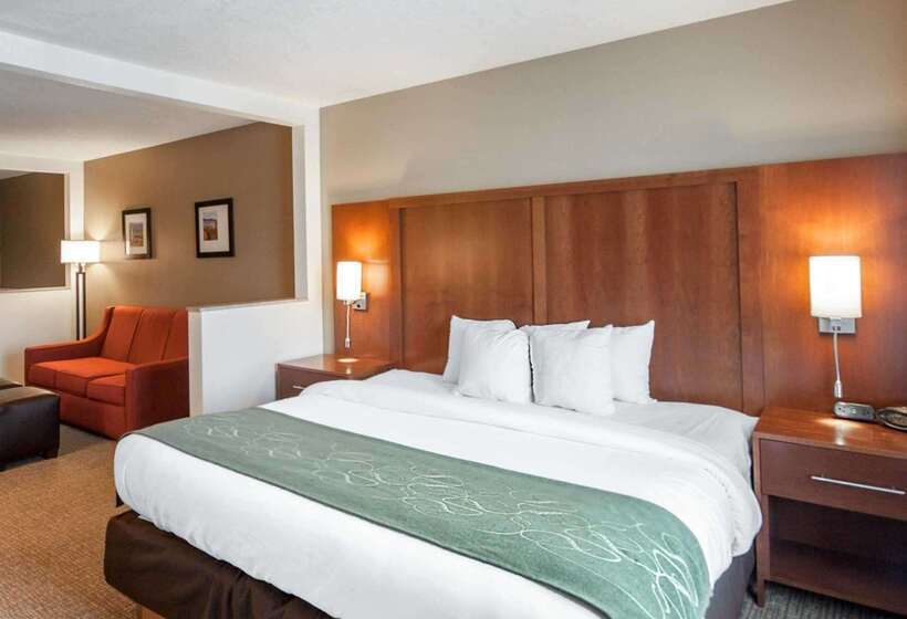 فندق Comfort Suites Airport