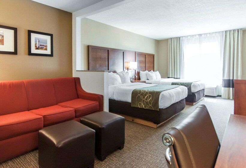 فندق Comfort Suites Airport