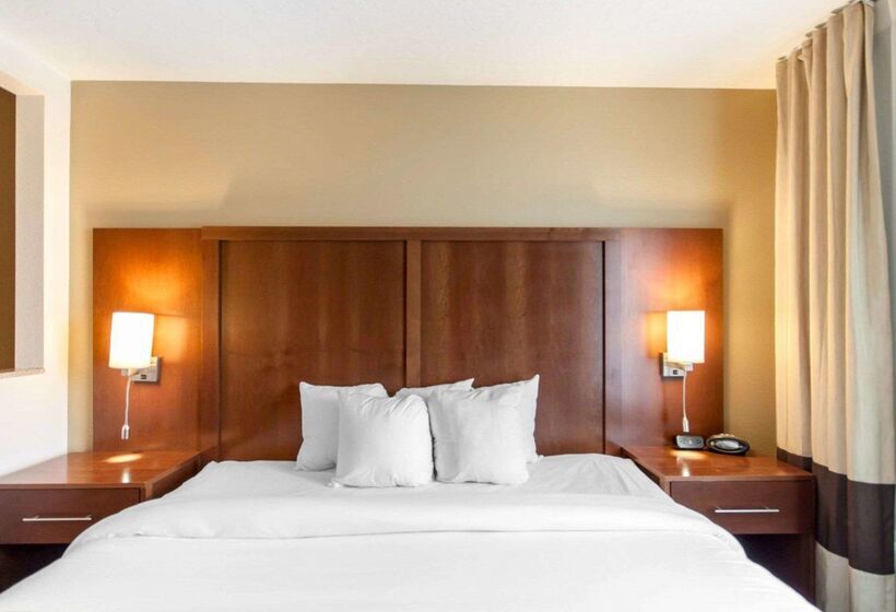 فندق Comfort Suites Airport