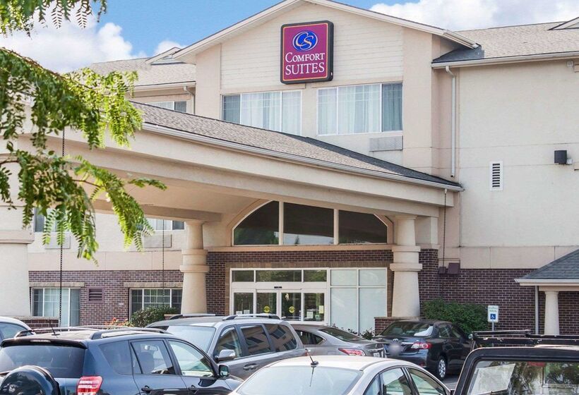 فندق Comfort Suites Airport