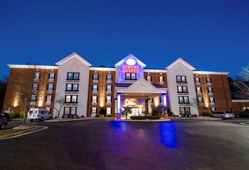 ホテル Comfort Suites Newport News Airport