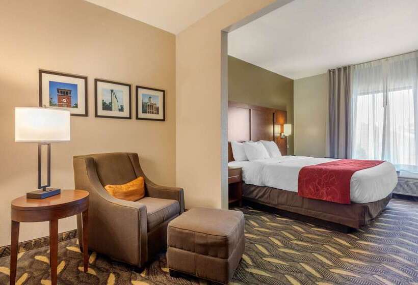 酒店 Comfort Suites