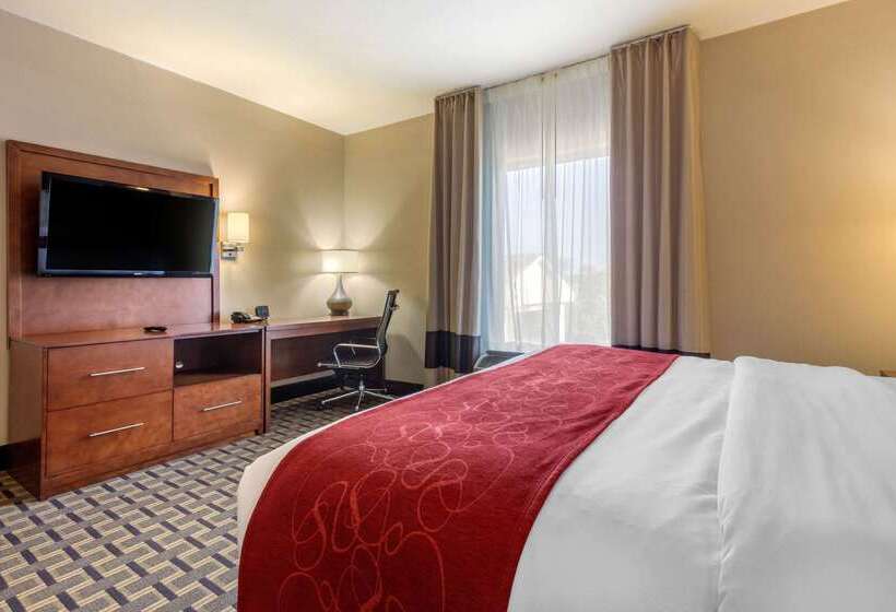 酒店 Comfort Suites