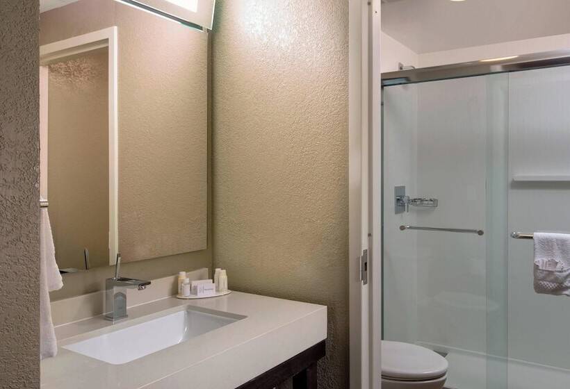 酒店 Courtyard Miami Beach South Beach