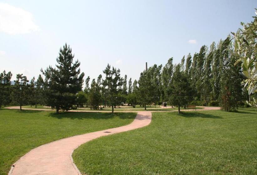 Отель Delfina Palace