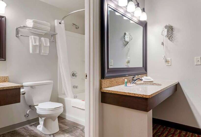 فندق Econo Lodge Lakeview