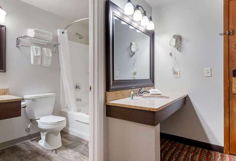 فندق Econo Lodge Lakeview