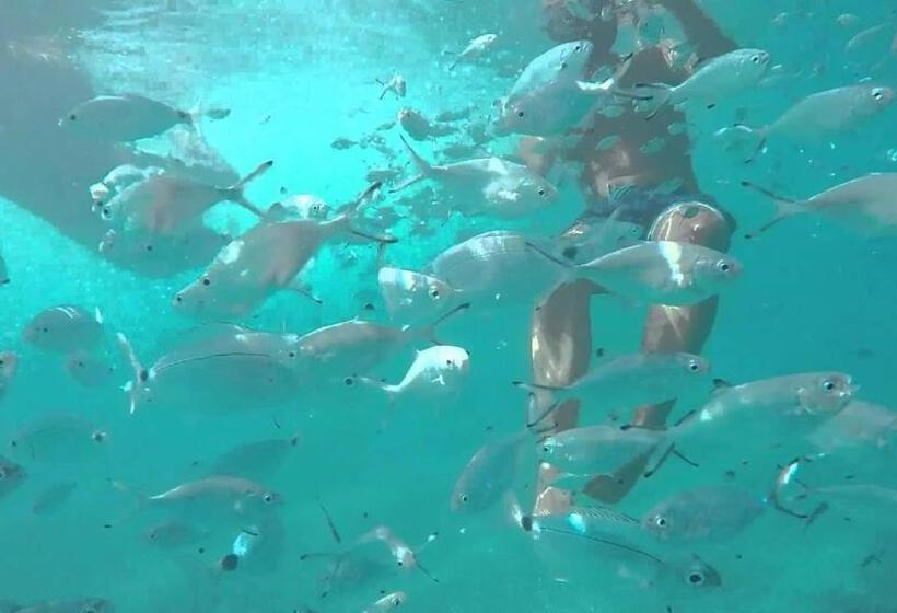 בית מלון כפרי El Trebol