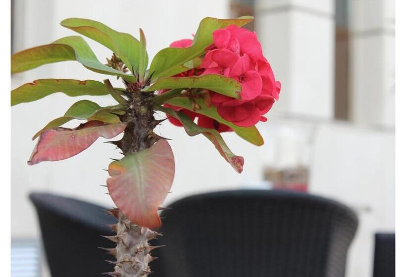 בית מלון כפרי El Trebol