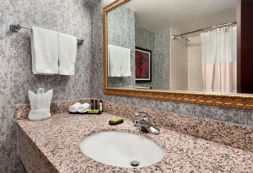 ホテル Embassy Suites By Hilton Dulles Airport