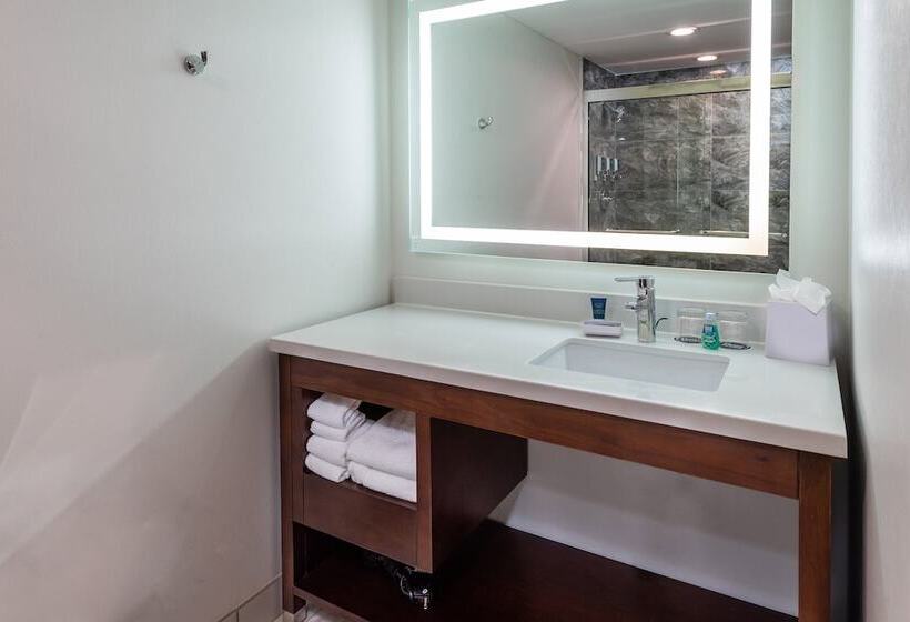 酒店 Four Points By Sheraton Atlanta Airport West