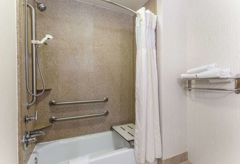 ホテル Hilton Garden Inn Indianapolis Downtown