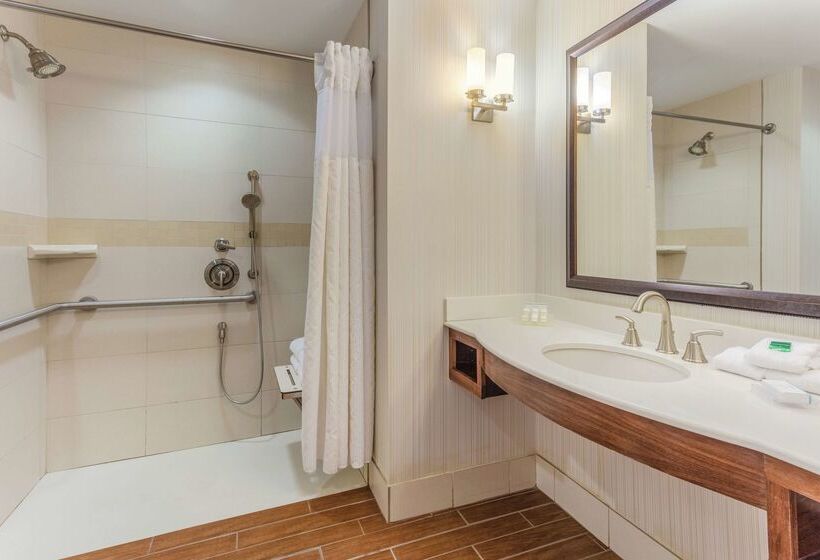 ホテル Hilton Garden Inn Indianapolis Downtown