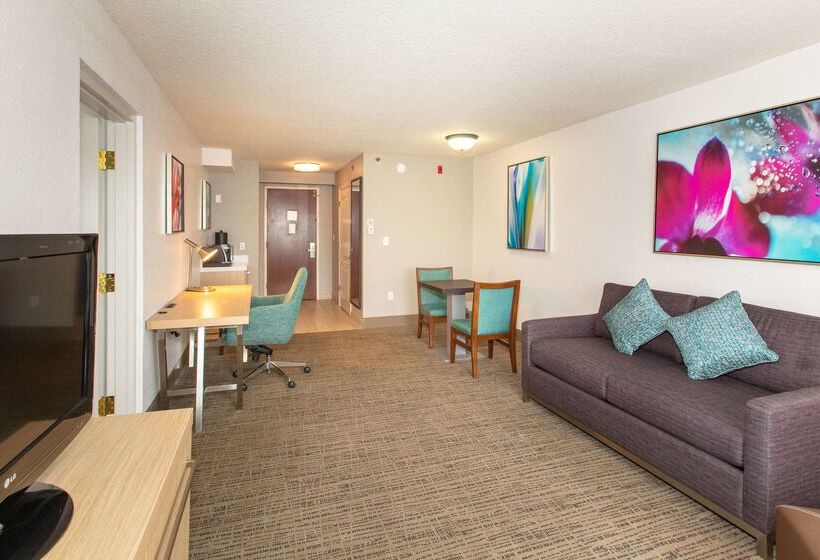 فندق Hilton Garden Inn Jacksonville Airport