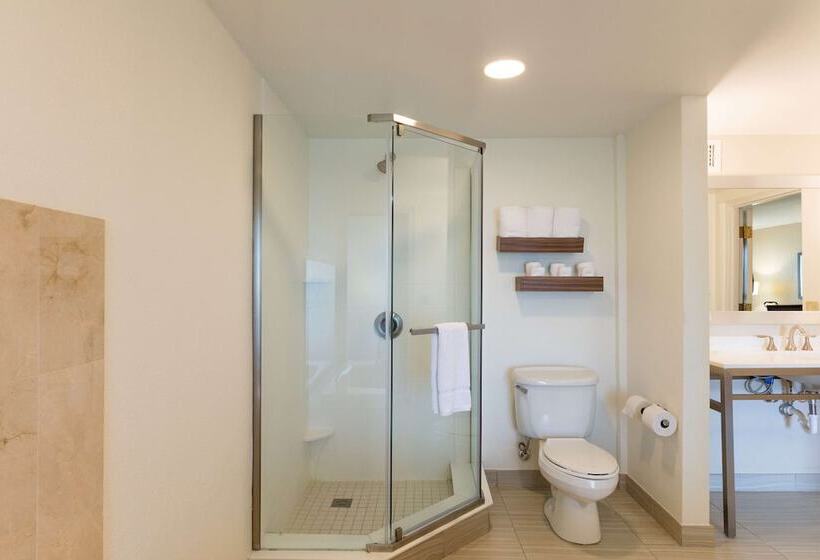 فندق Hilton Garden Inn Jacksonville Airport