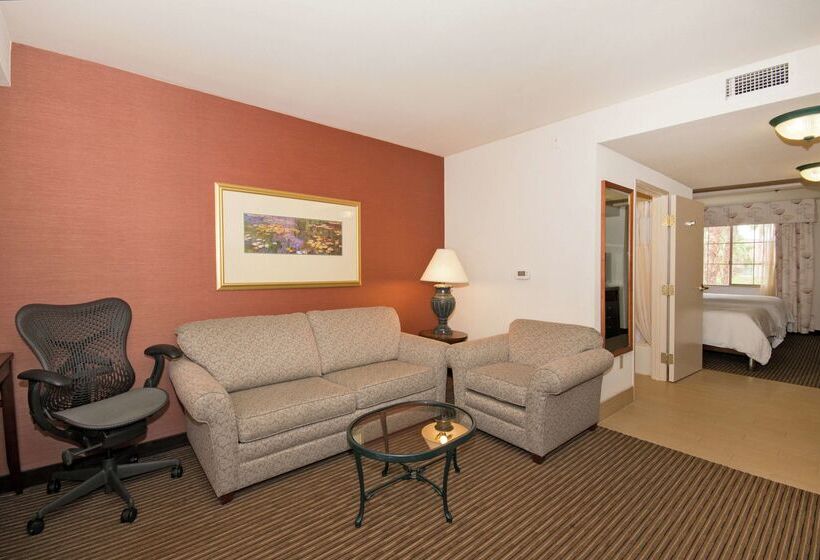 酒店 Hilton Garden Inn Palm Springs Rancho Mirage