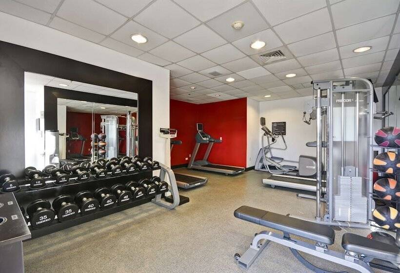 בית מלון כפרי Hilton Garden Inn Sarasotabradenton Airport