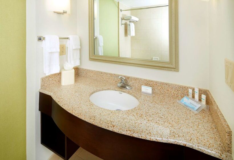 酒店 Hilton Garden Inn Savannah Midtown