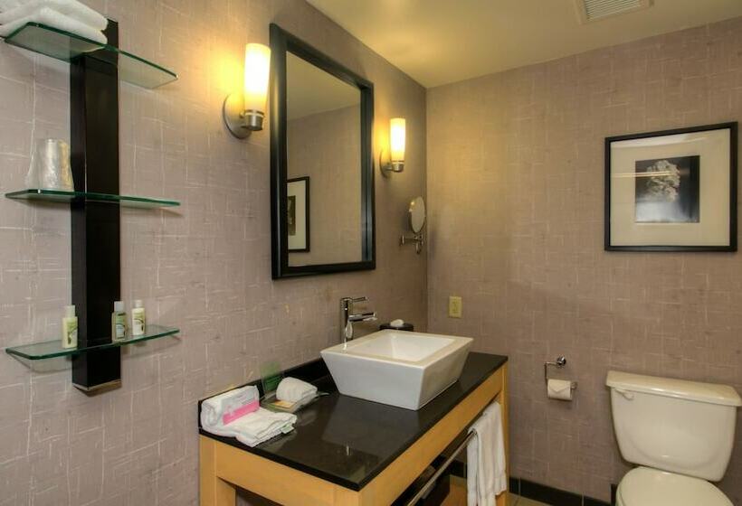 בית מלון כפרי Holiday Inn Boise Airport, An Ihg