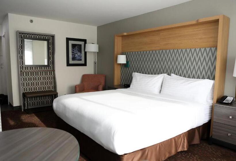 هتل Holiday Inn O Hare Area, An Ihg