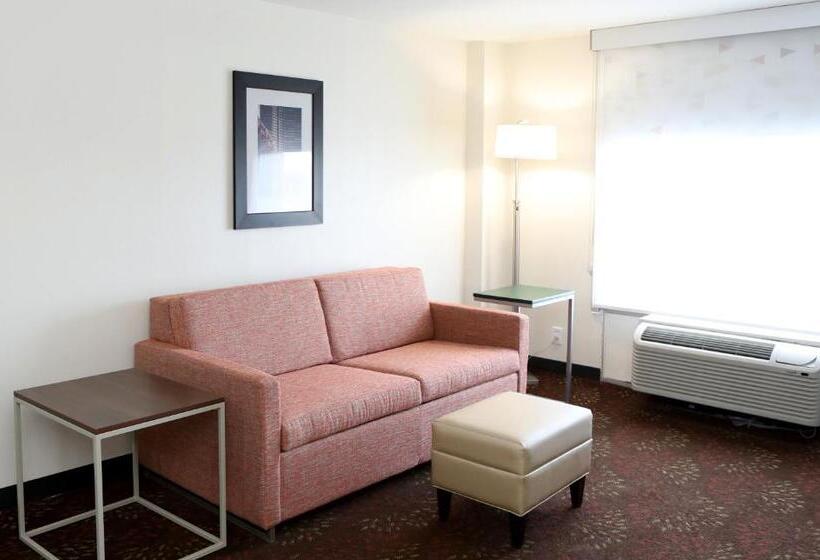 هتل Holiday Inn O Hare Area, An Ihg