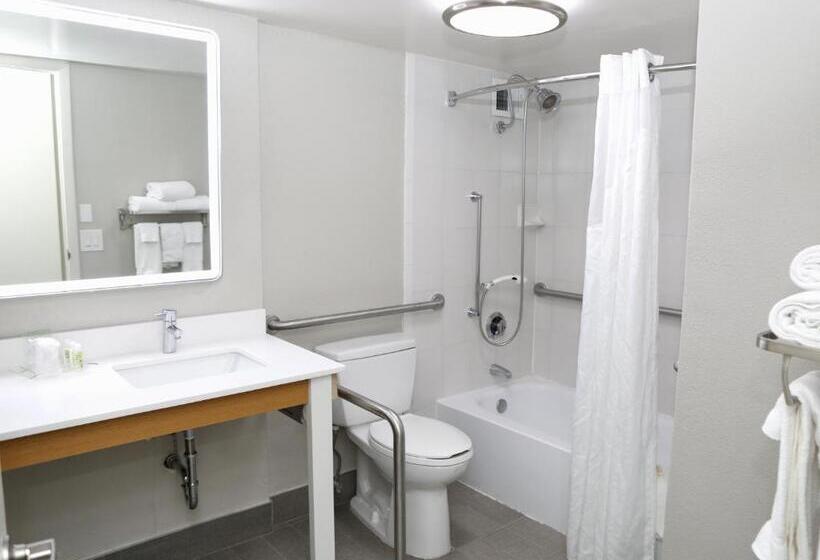 בית מלון כפרי Holiday Inn O Hare Area, An Ihg