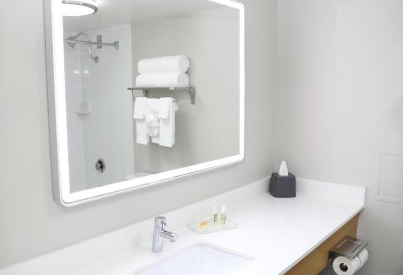 هتل Holiday Inn O Hare Area, An Ihg