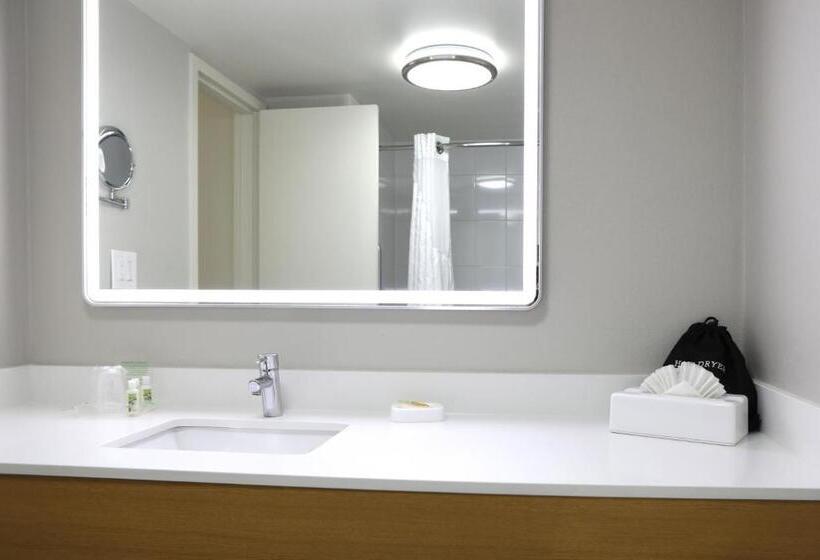 בית מלון כפרי Holiday Inn O Hare Area, An Ihg