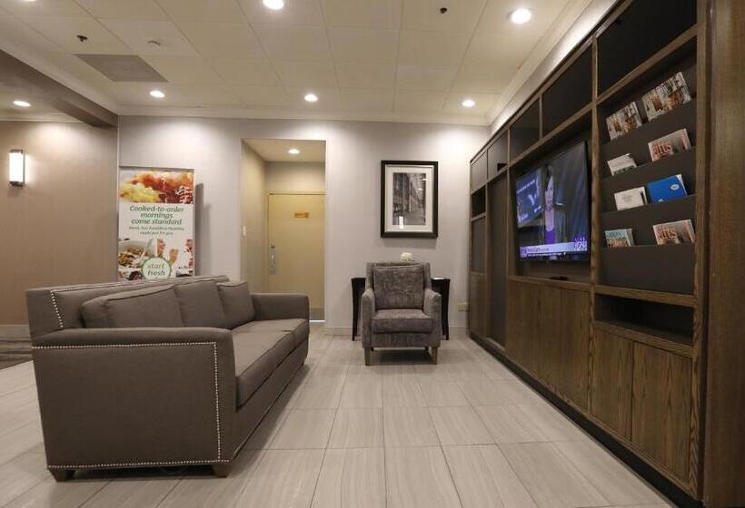 هتل Holiday Inn O Hare Area, An Ihg