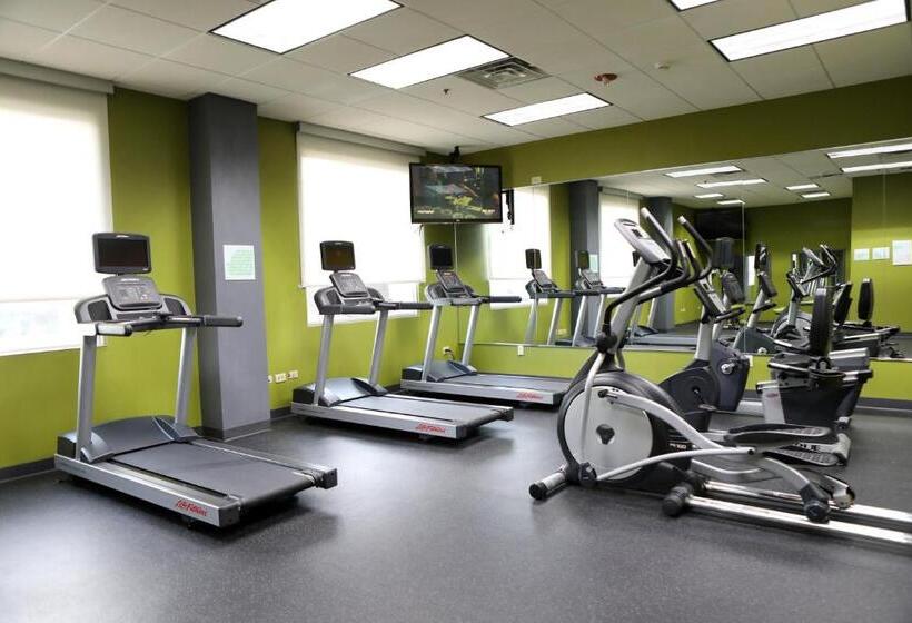 هتل Holiday Inn O Hare Area, An Ihg