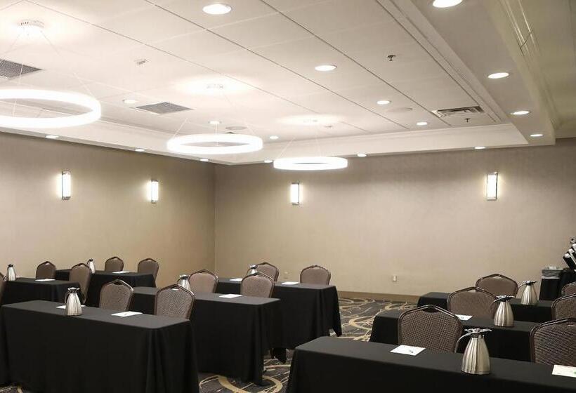 בית מלון כפרי Holiday Inn O Hare Area, An Ihg