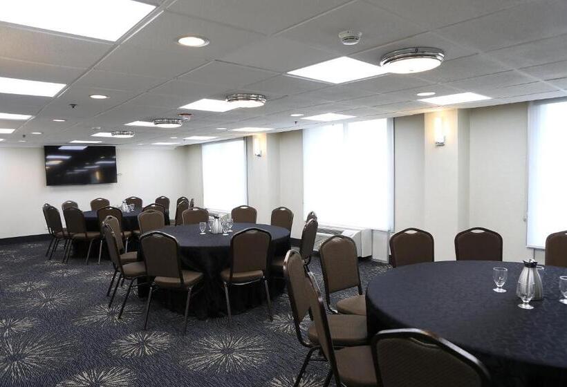 בית מלון כפרי Holiday Inn O Hare Area, An Ihg