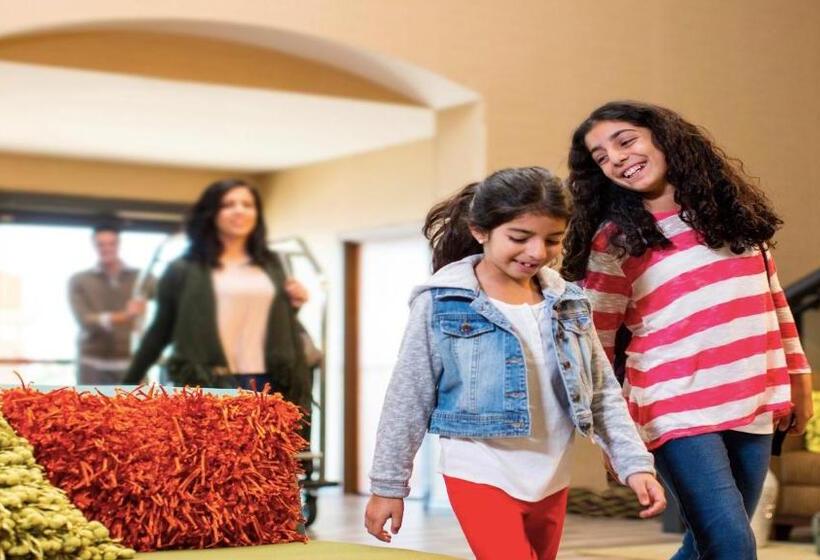 هتل Holiday Inn O Hare Area, An Ihg