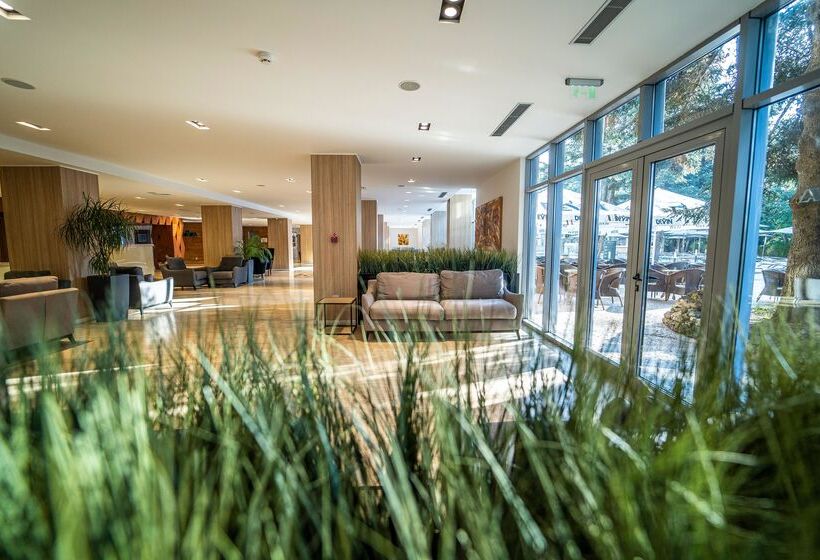 Отель Hvd Viva Club Ultra All Inclusive & Beach Snack Bar Free Parking