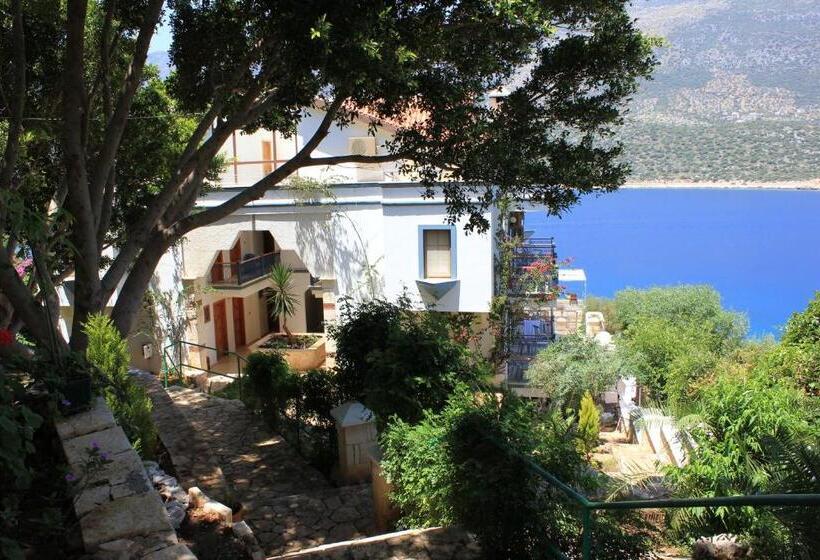 בית מלון כפרי Korsanada