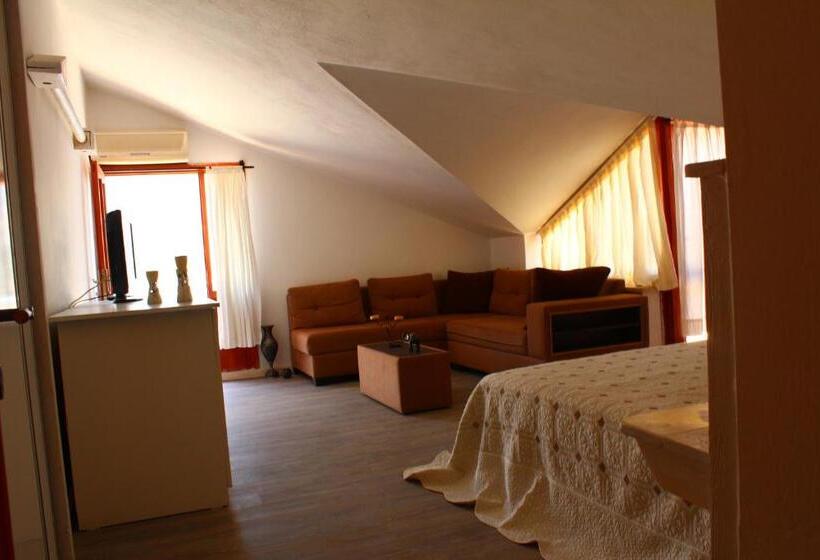 בית מלון כפרי Korsanada