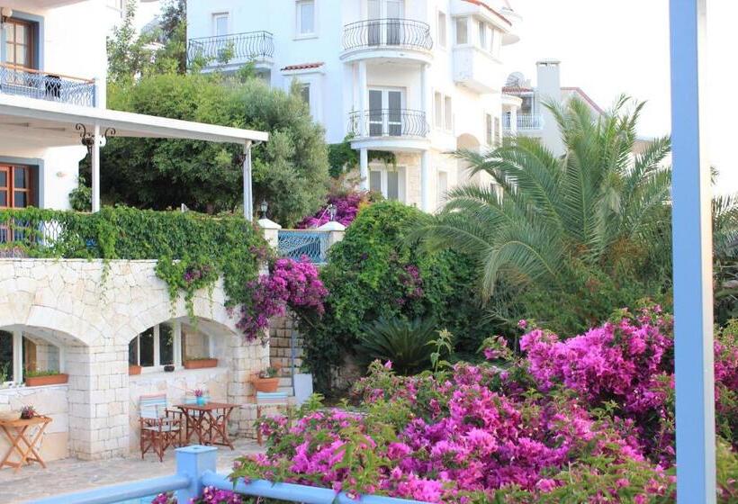 בית מלון כפרי Korsanada