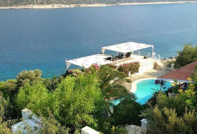 בית מלון כפרי Korsanada