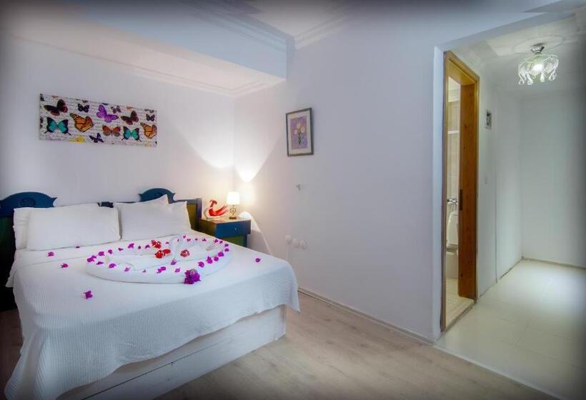 בית מלון כפרי Korsanada