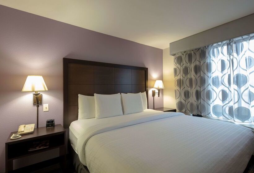 هتل La Quinta Inn & Suites By Wyndham Springfield Airport Plaza